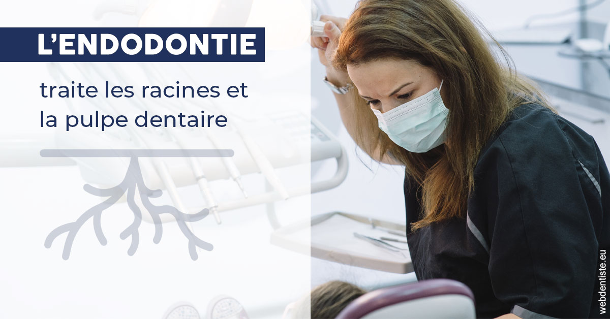 https://dentistes-trinite.com/L'endodontie 1