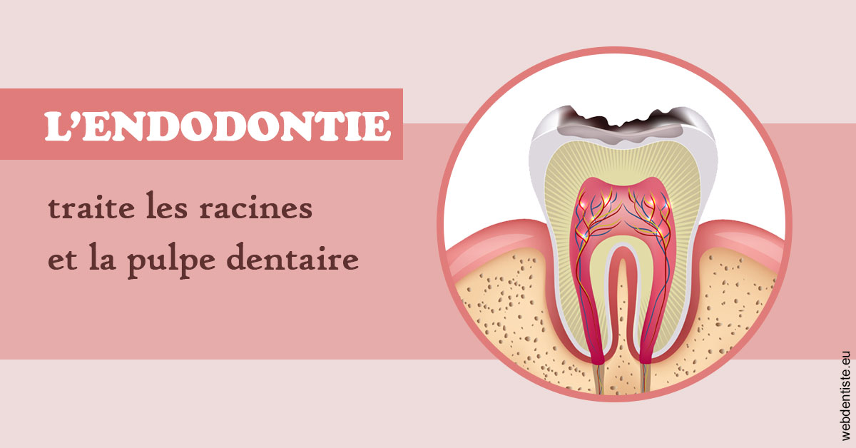 https://dentistes-trinite.com/L'endodontie 2