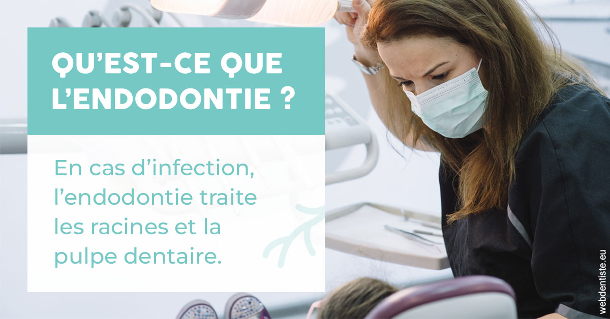 https://dentistes-trinite.com/2024 T1 - Endodontie 01