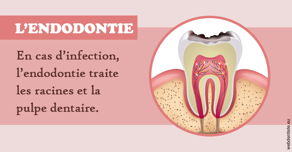https://dentistes-trinite.com/L'endodontie 2